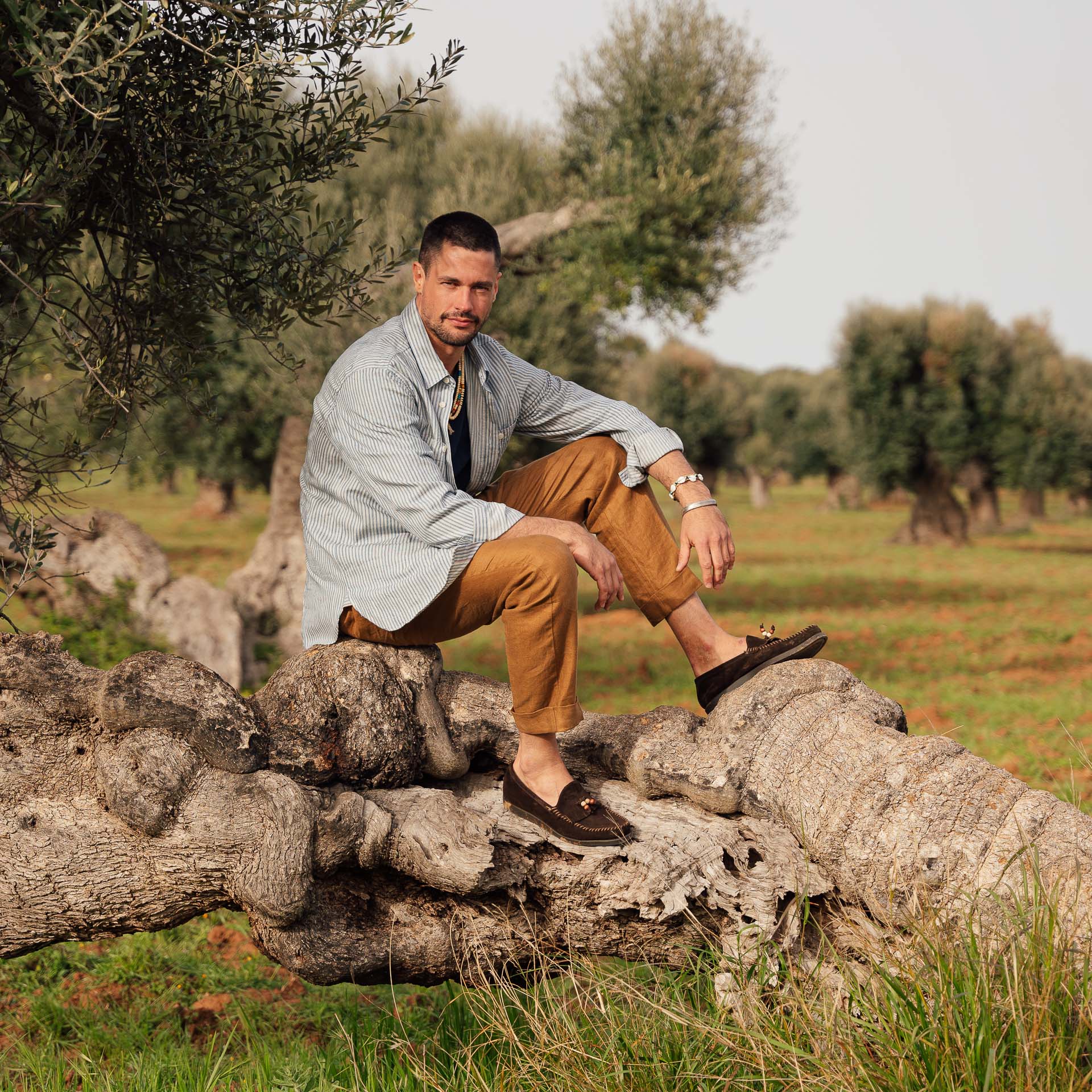 Balabiott - Image 2