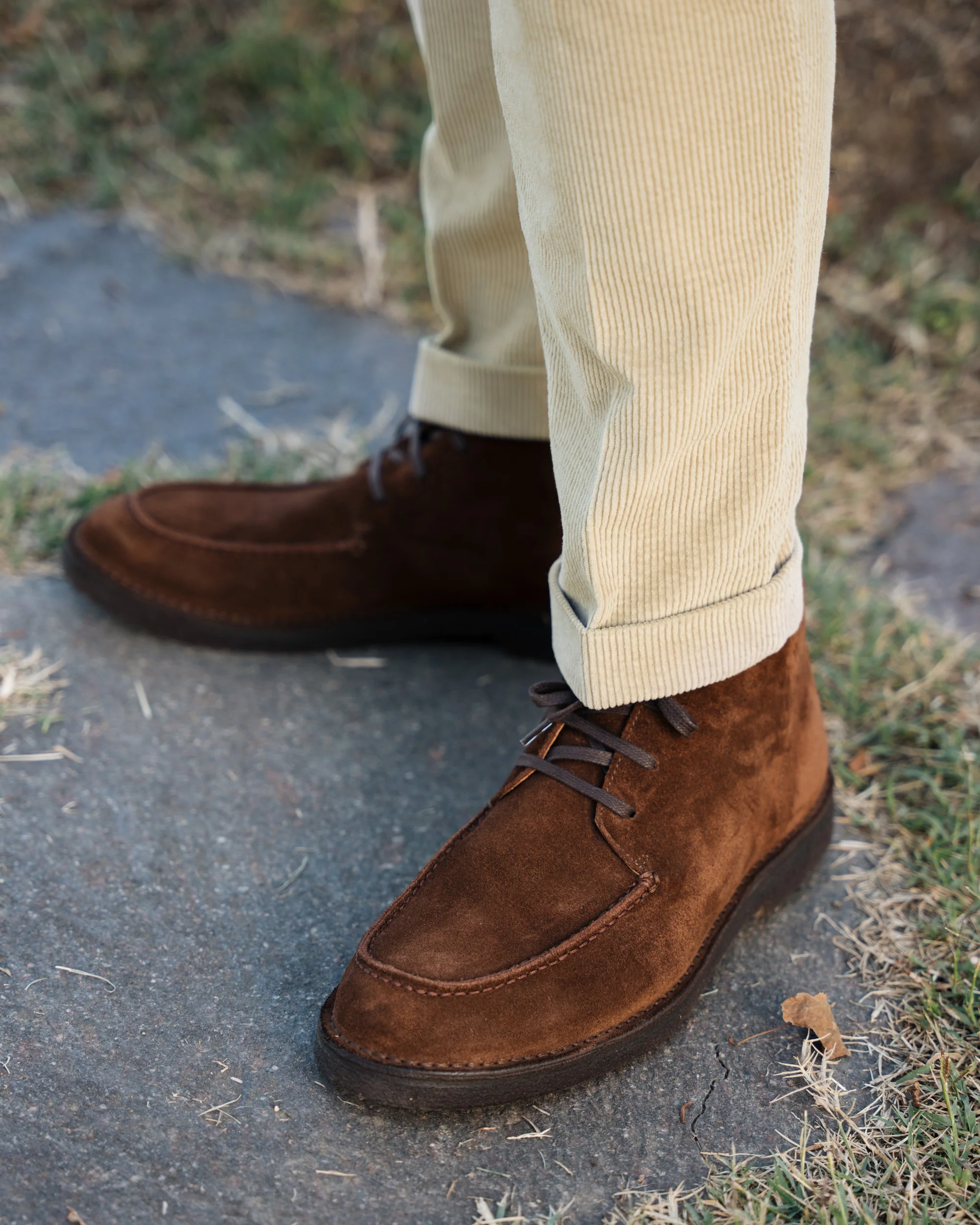Campli - Image 3