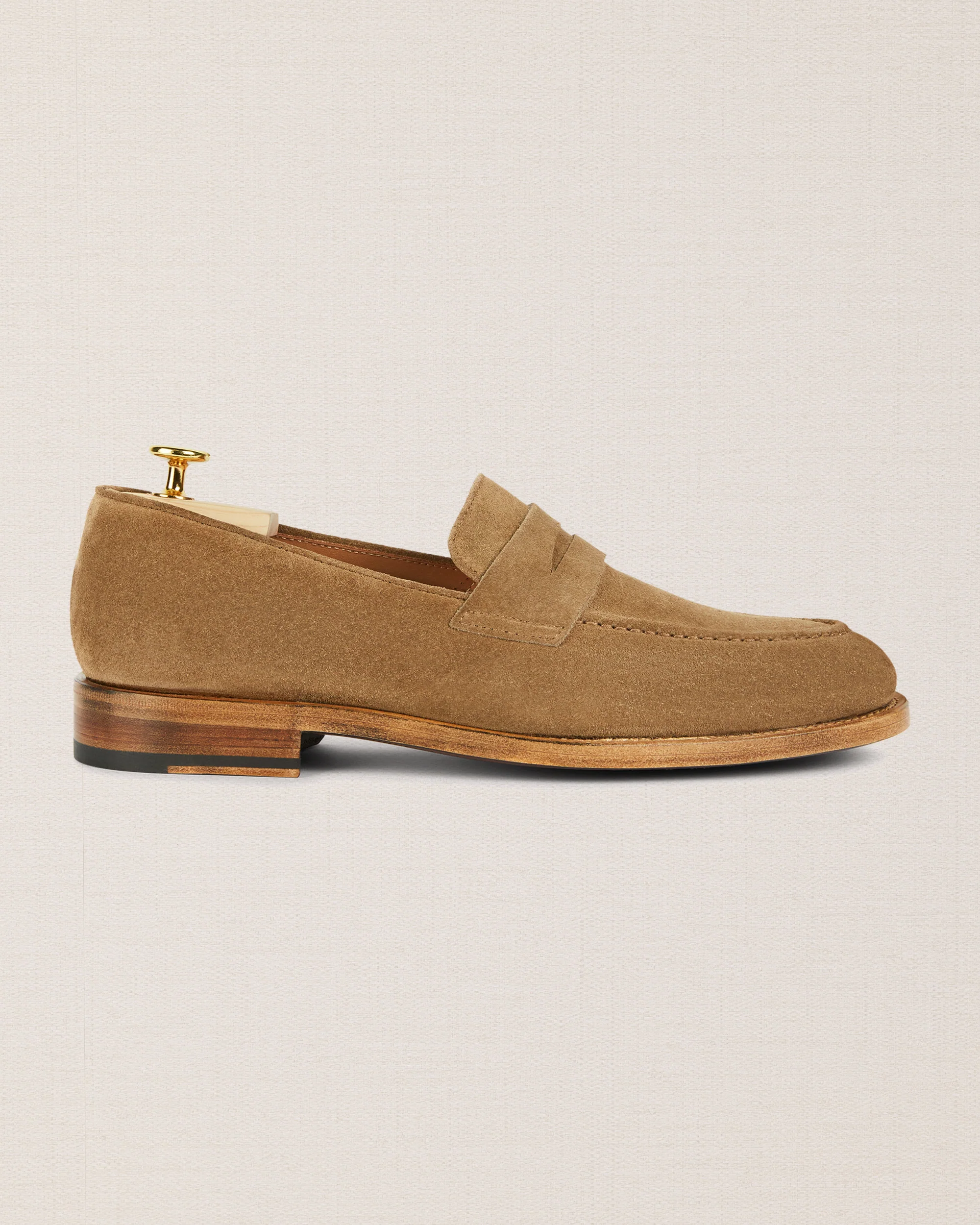 Daziee - Image 3