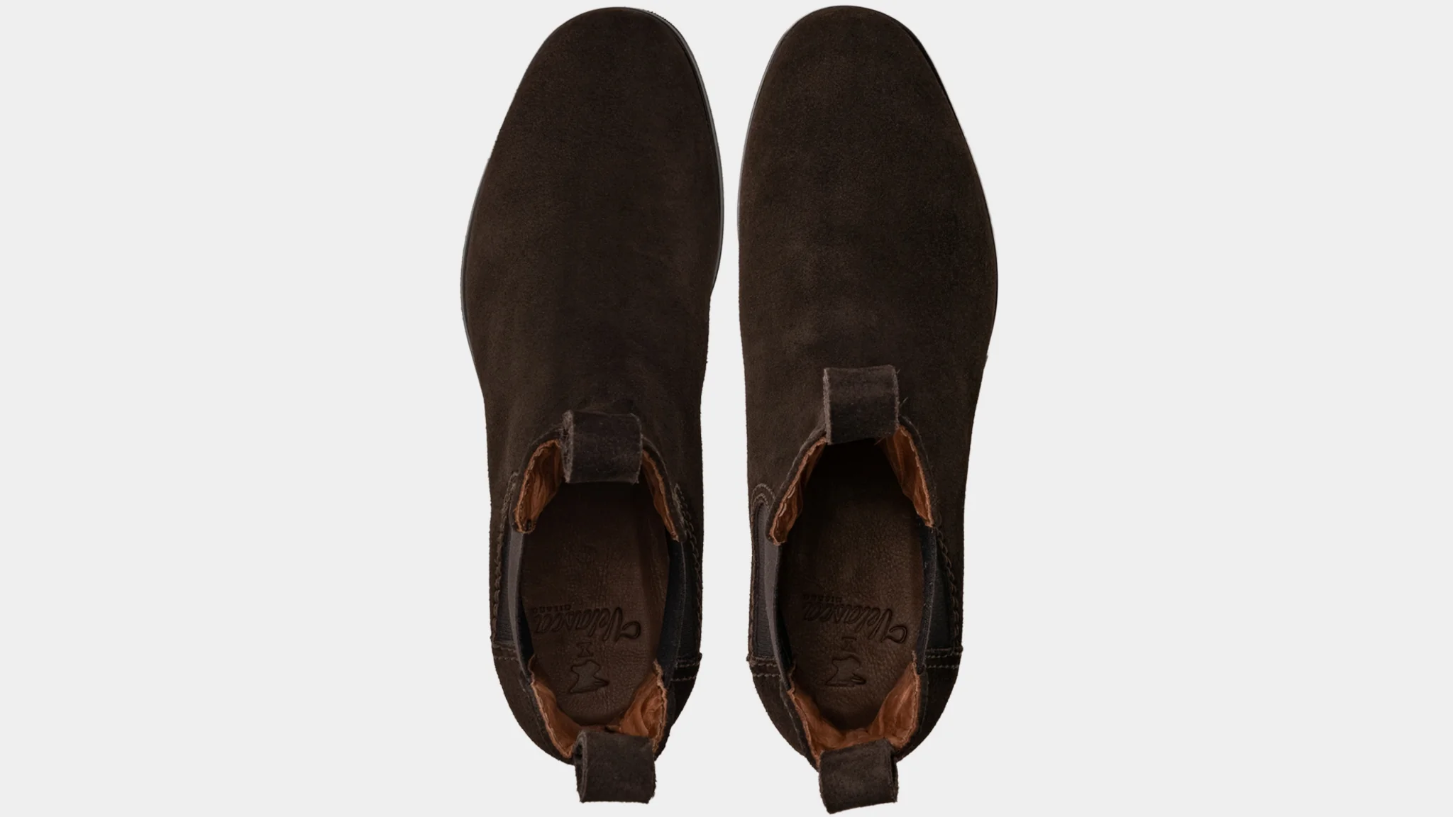 Scout - Image 4